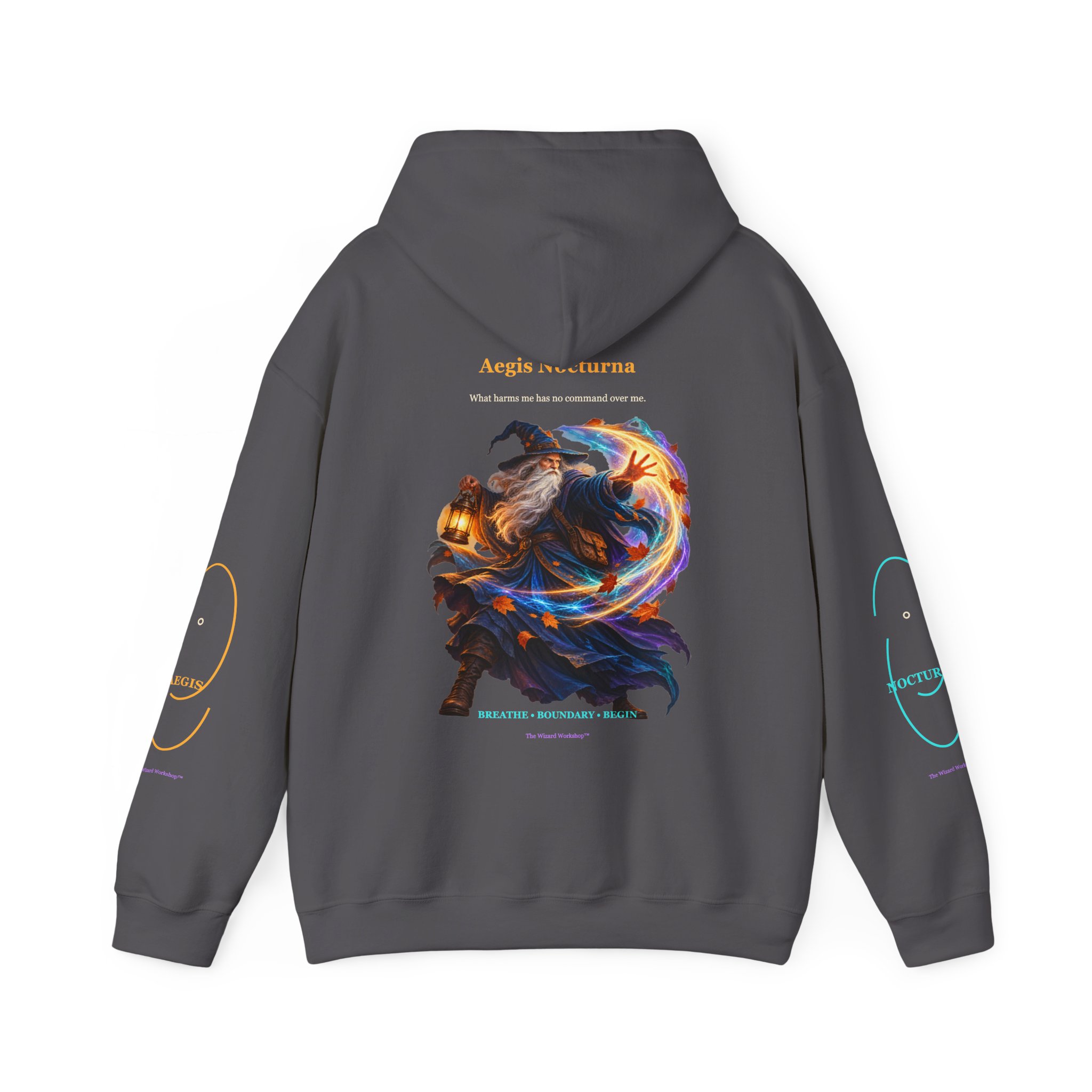Aegis Nocturna - Image 2